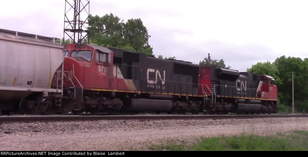 CN A431